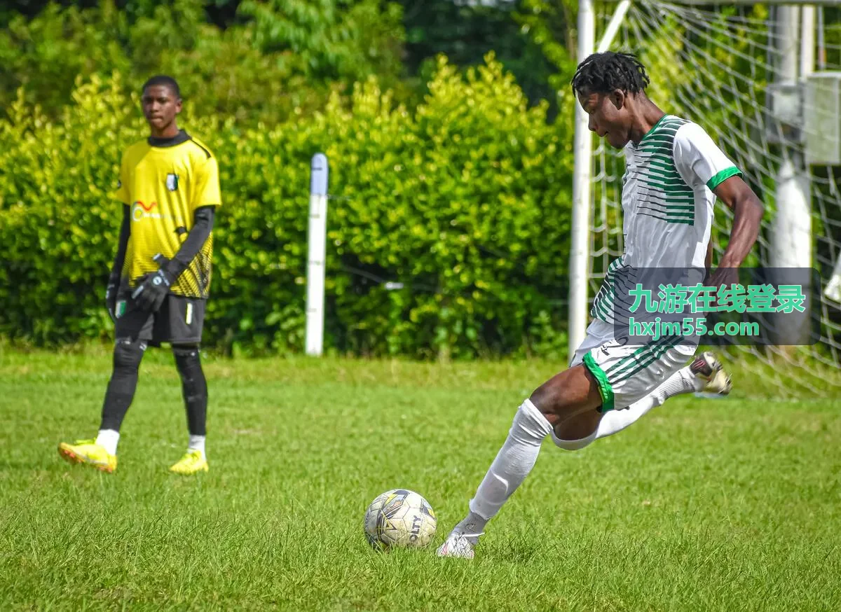 九游在线登录会员中心页面概览